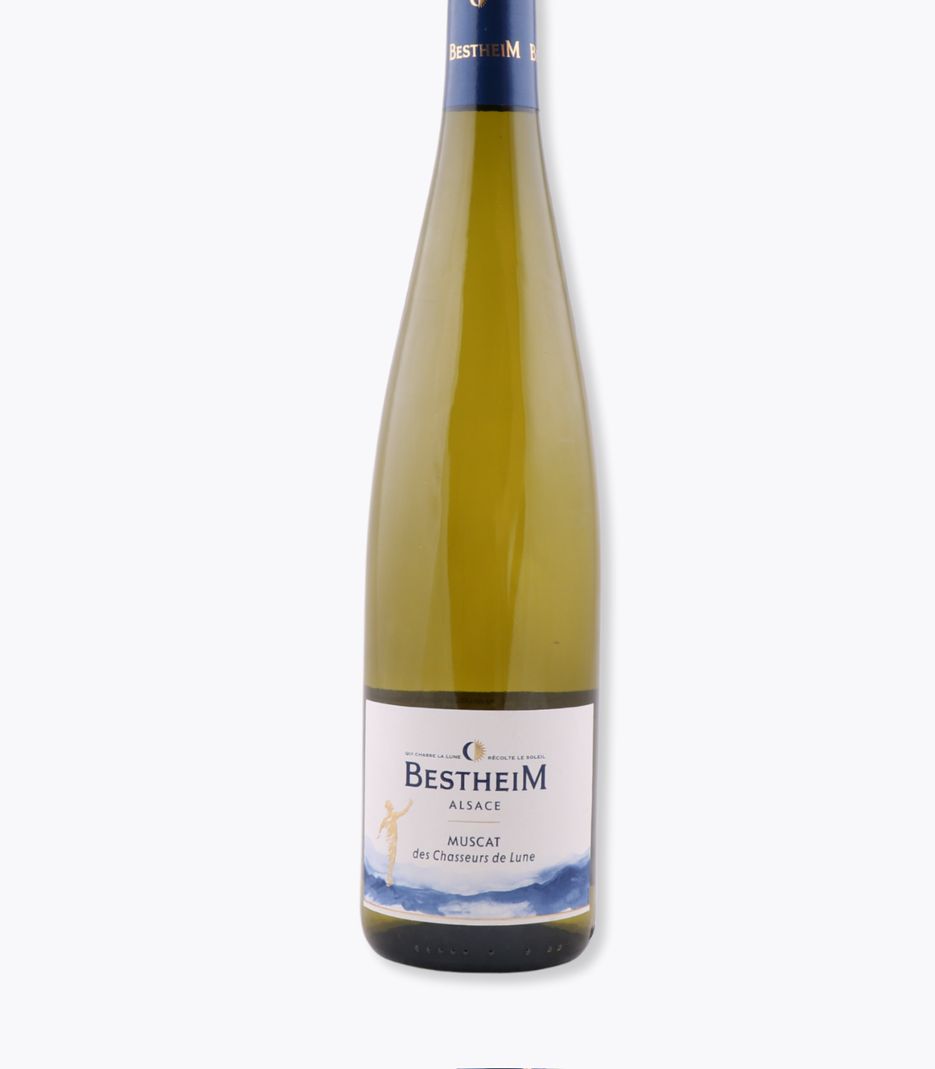 muscat bestheim