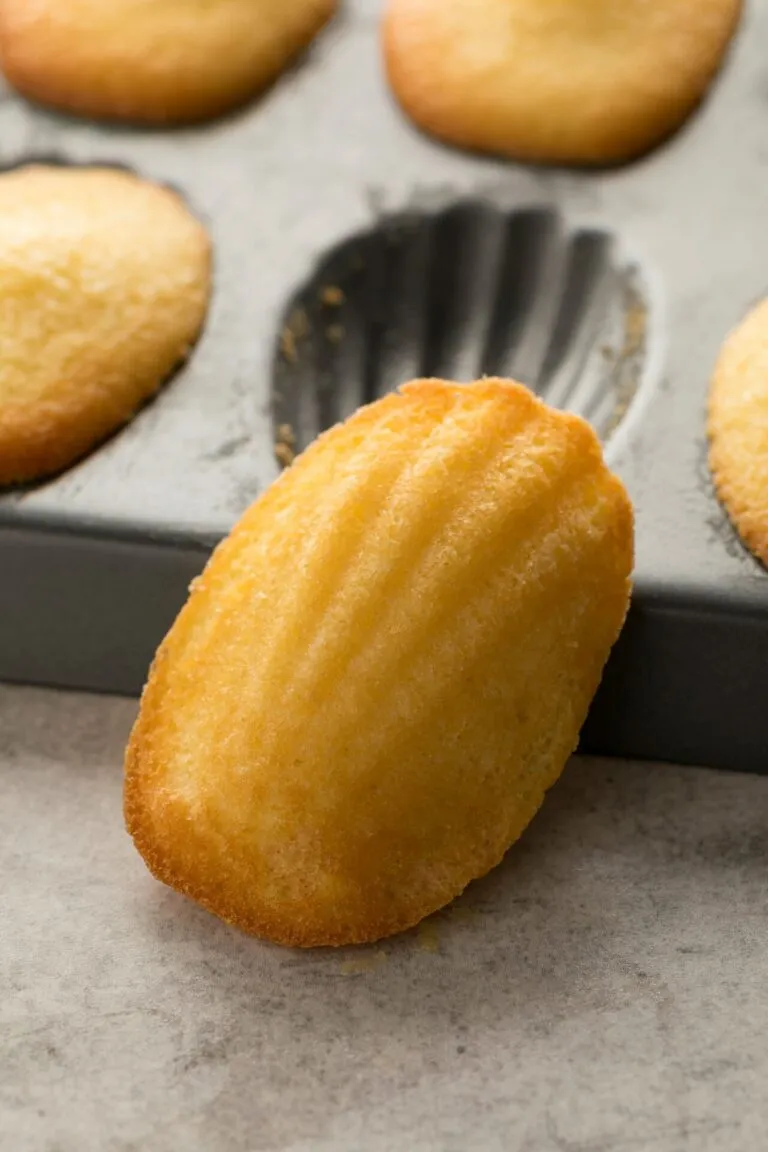 madeleine sortie du moule